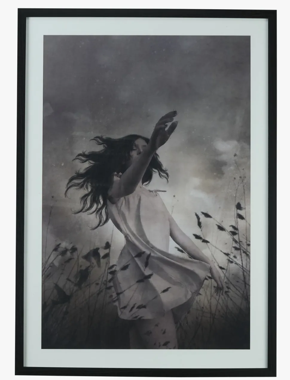 Bilde svart - 50x70 cm