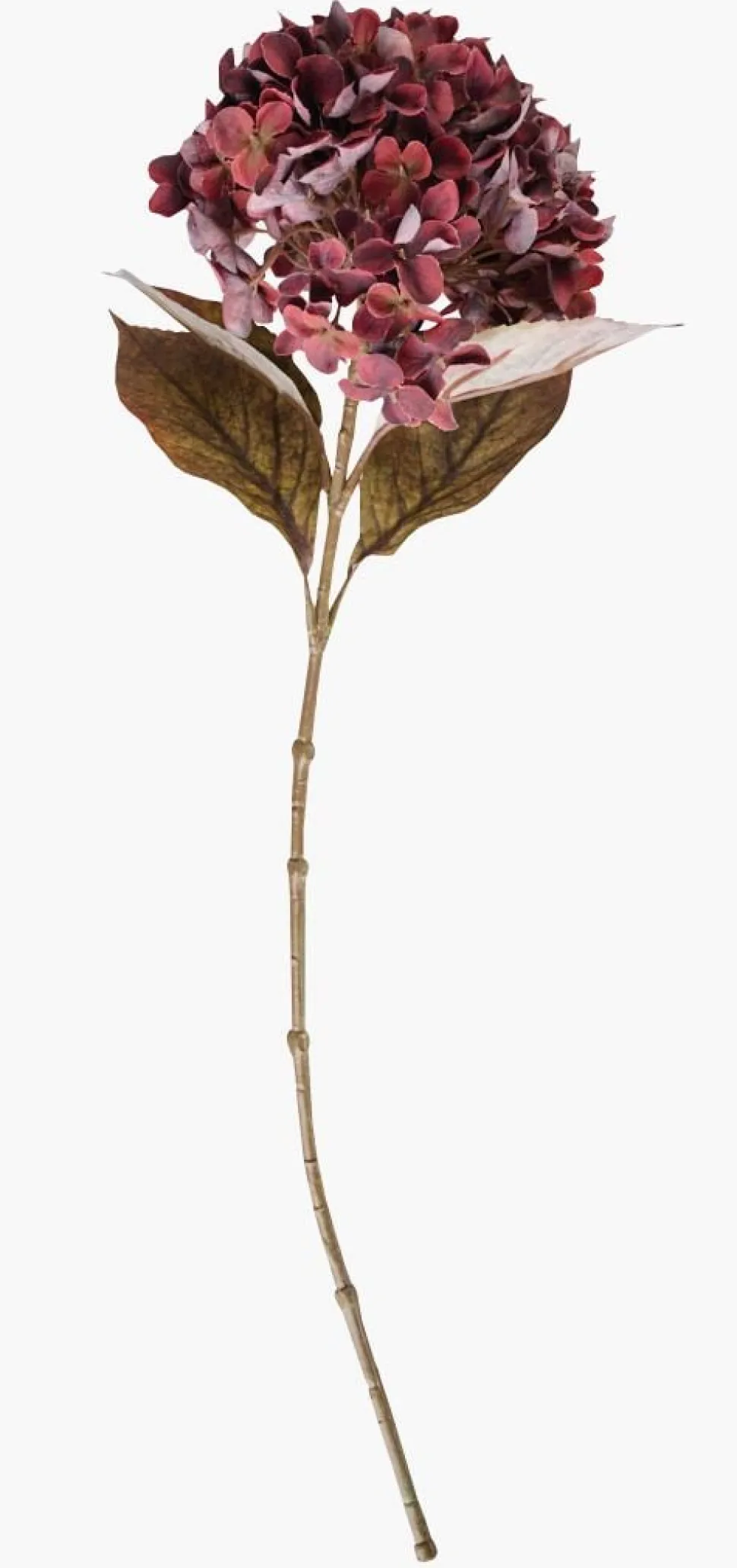 Blomst burgunder - 28x17x65 cm