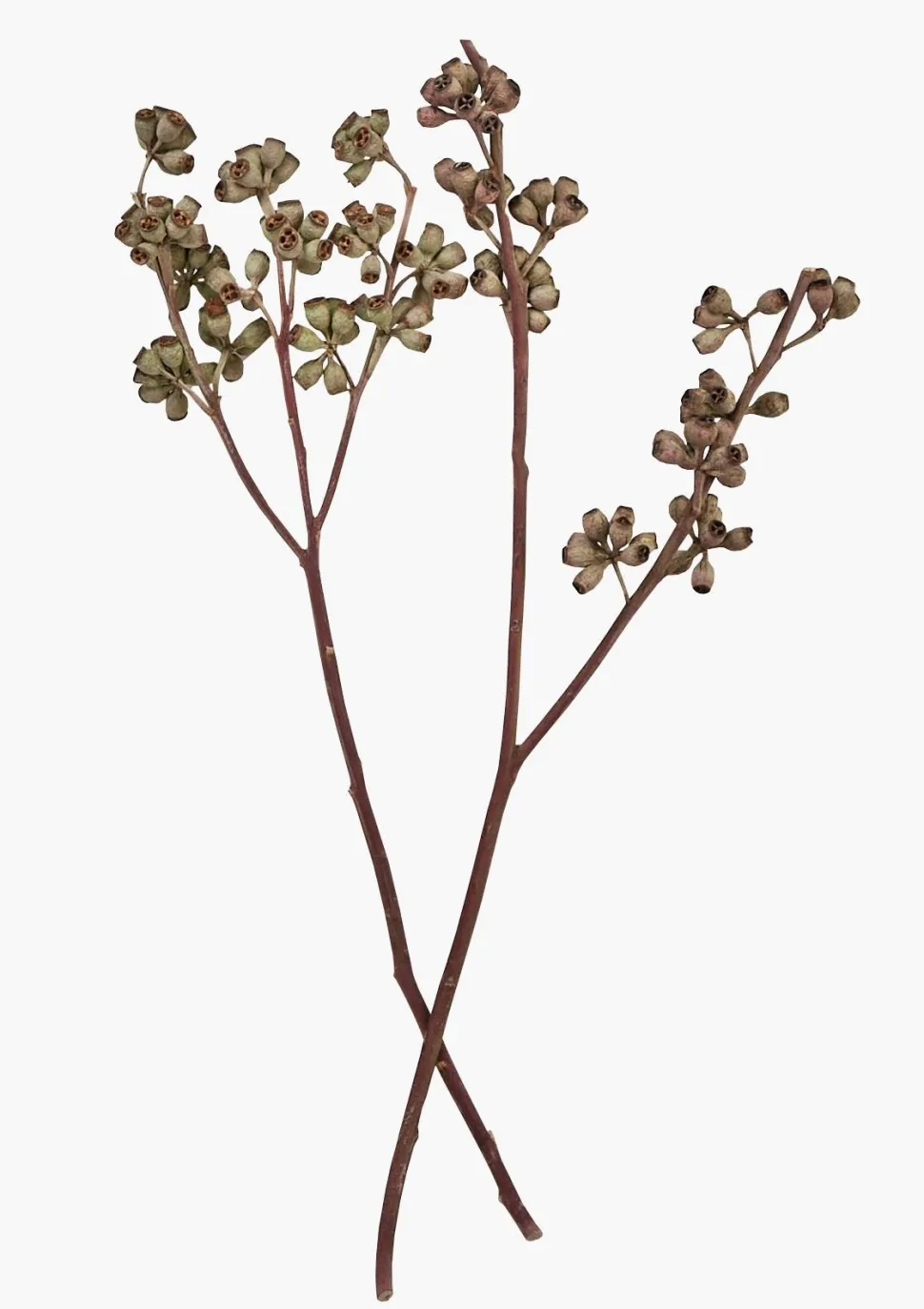 Bukett natur - 50 cm