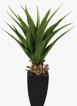 Plante grønn - 75 cm
