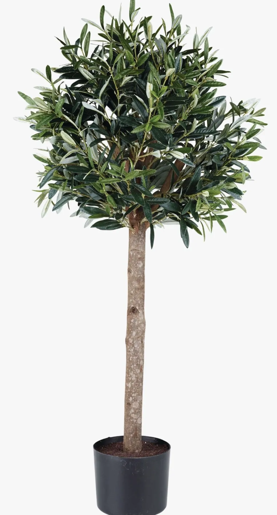 Plante grønn - 90 cm