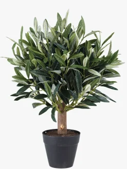 Plante grønn - 30cm
