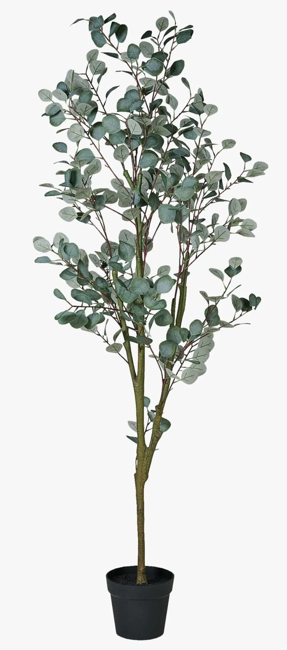 Plante grønn - 50x50x180 cm