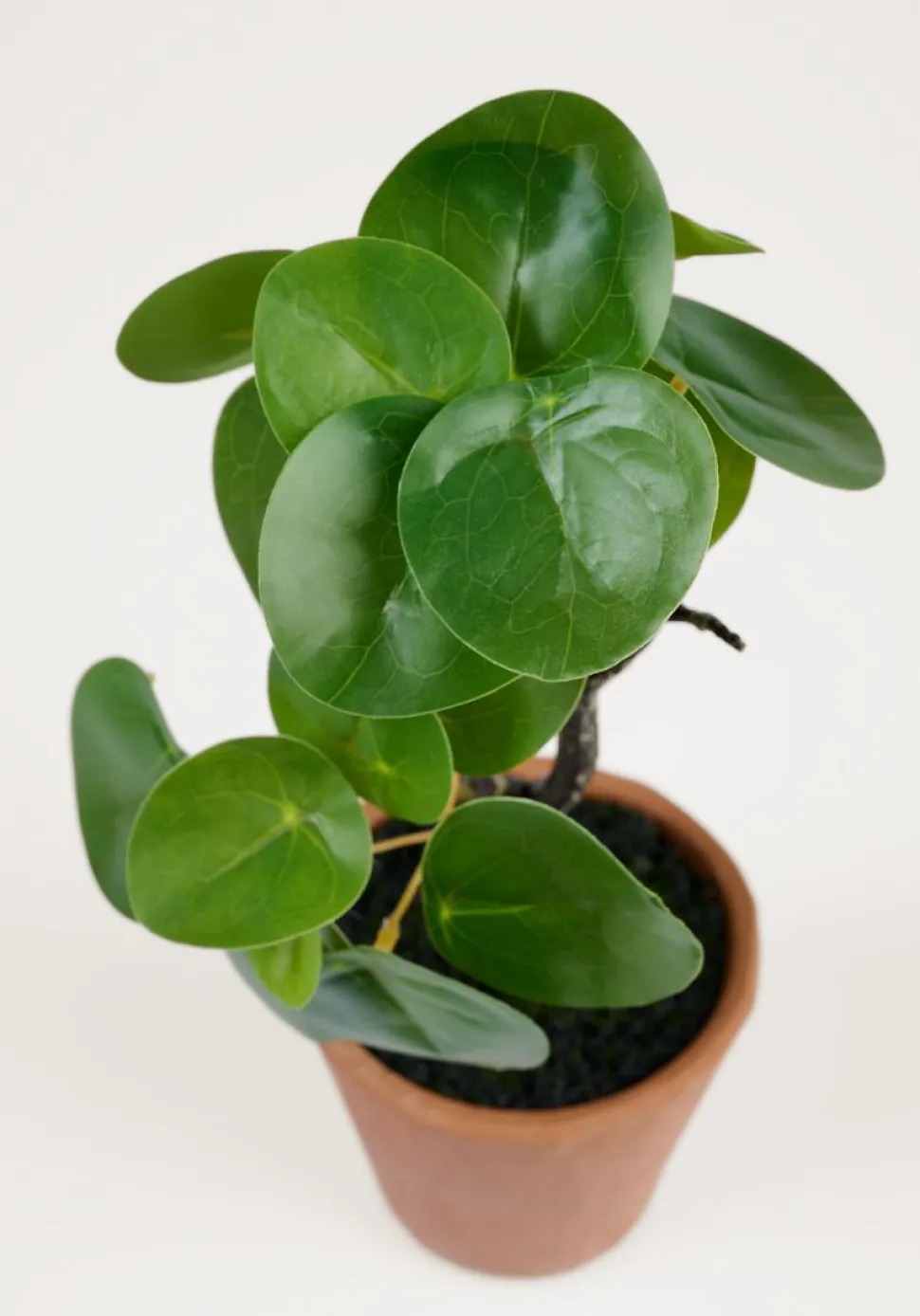 Plante grønn - 10x10x25 cm