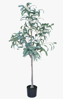 Plante grønn - 55x50x150 cm