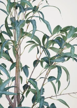 Plante grønn - 55x50x150 cm