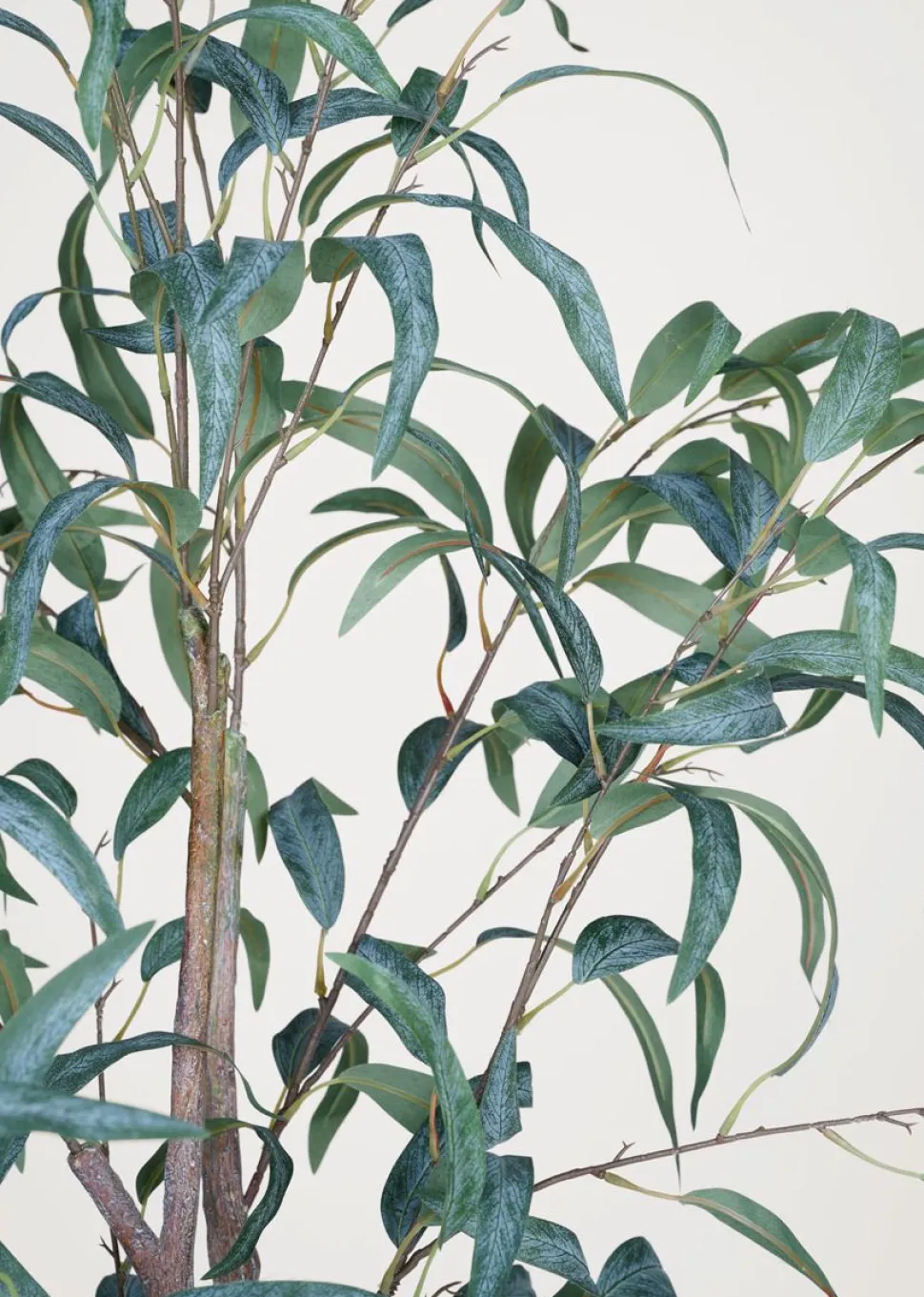 Plante grønn - 55x50x150 cm