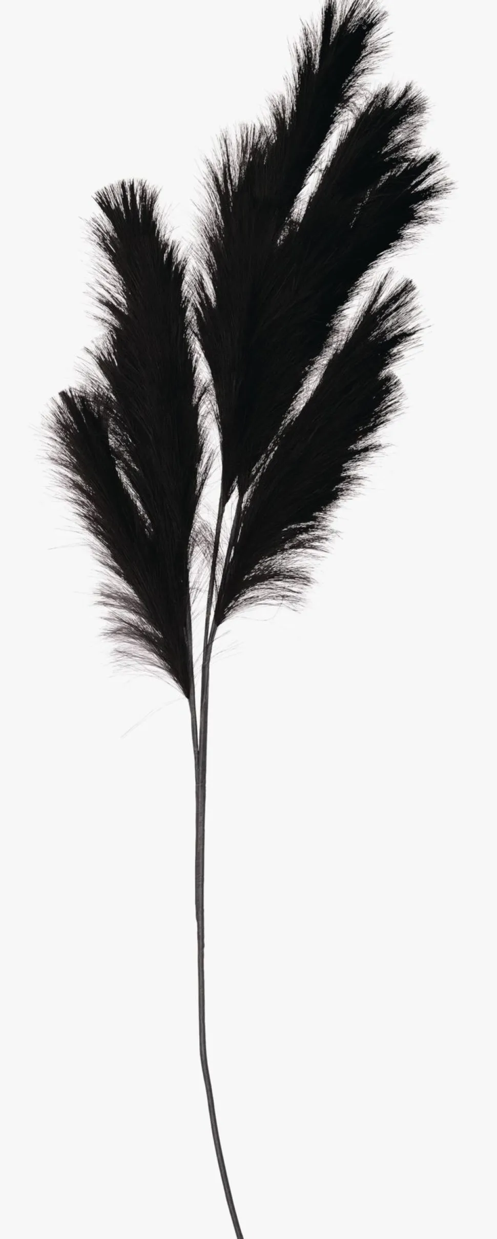 Strå svart - 120 cm